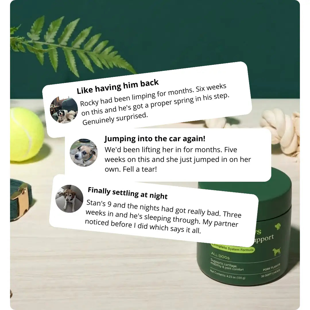 HIP & JOINT SUPPORT