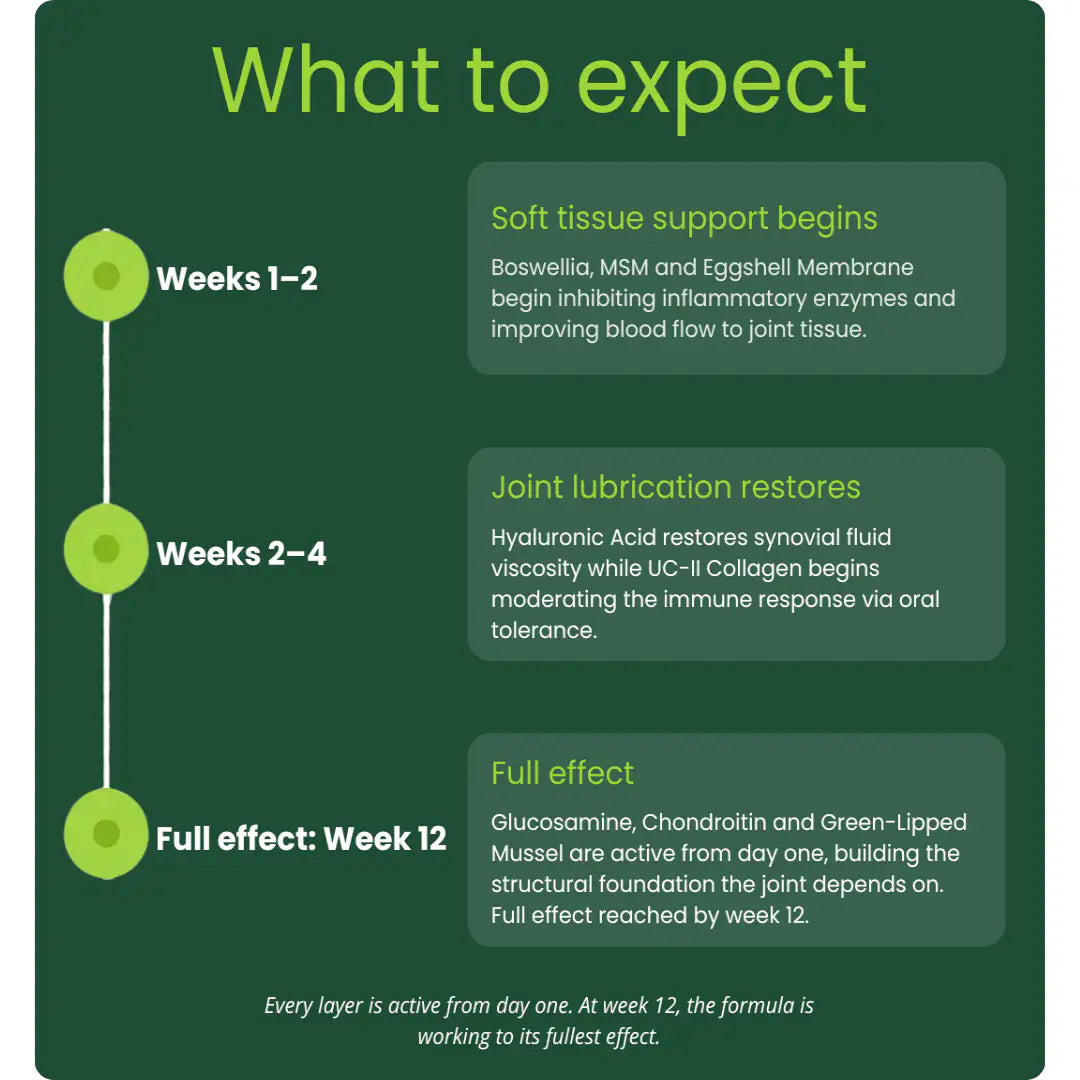 HIP & JOINT SUPPORT