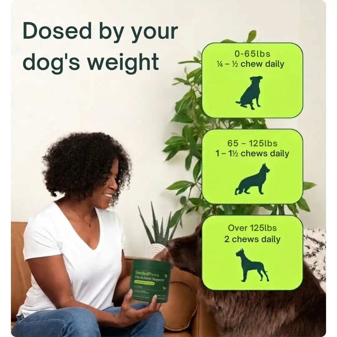 HIP & JOINT SUPPORT