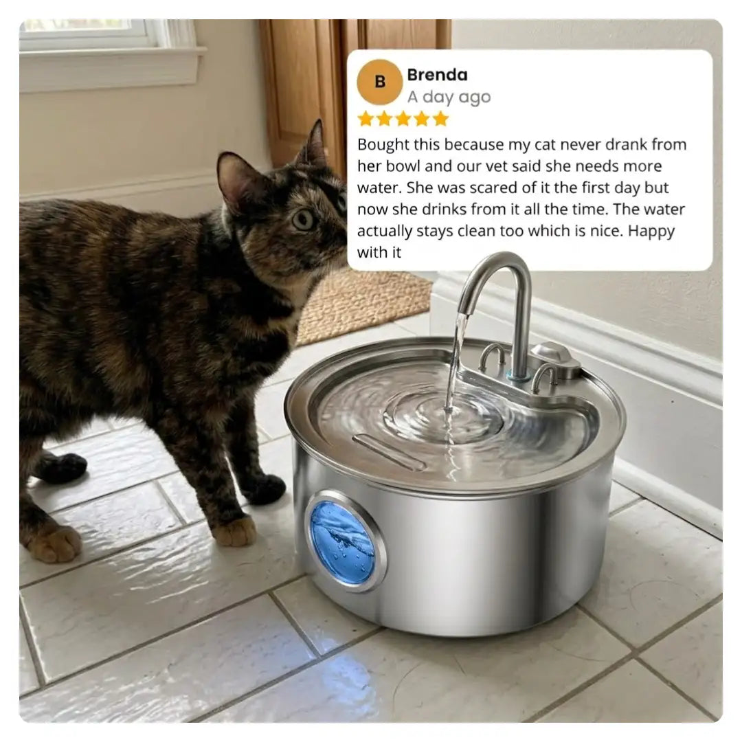 Cat Water Fountain - Stainless Steel